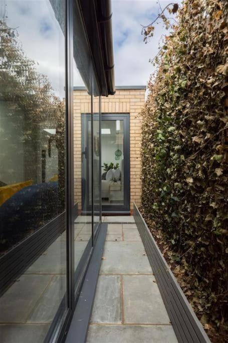 Cozy Leyton House With Garden And Small Terrace London Exteriör bild